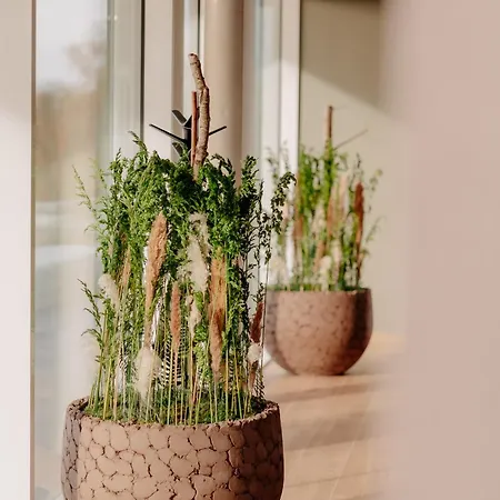 Konnex By Hackmann 4* Nordhorn